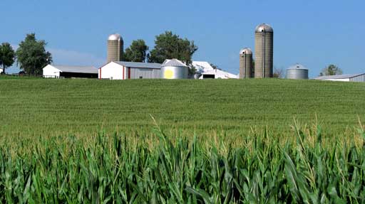 Grubb's Century Farm cira 1989